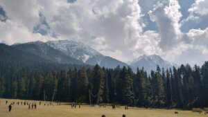 Pahalgam terror attack: NIA identifies LeT perpetrators and detains two for harboring Pakistani terrorists